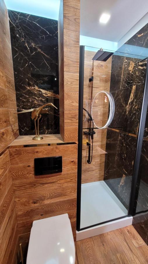 Good Day Apartment Centrum كاتوفيتسه المظهر الخارجي الصورة